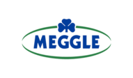 Logo Meggle