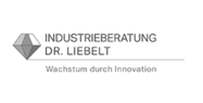 Industrieberatung Dr. Liebelt
