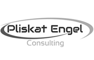 Pliskat Engel Consulting