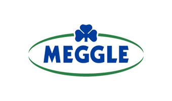 Logo Meggle